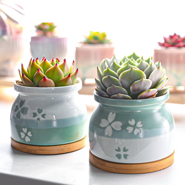 Cherry Blossoms Planter Pots