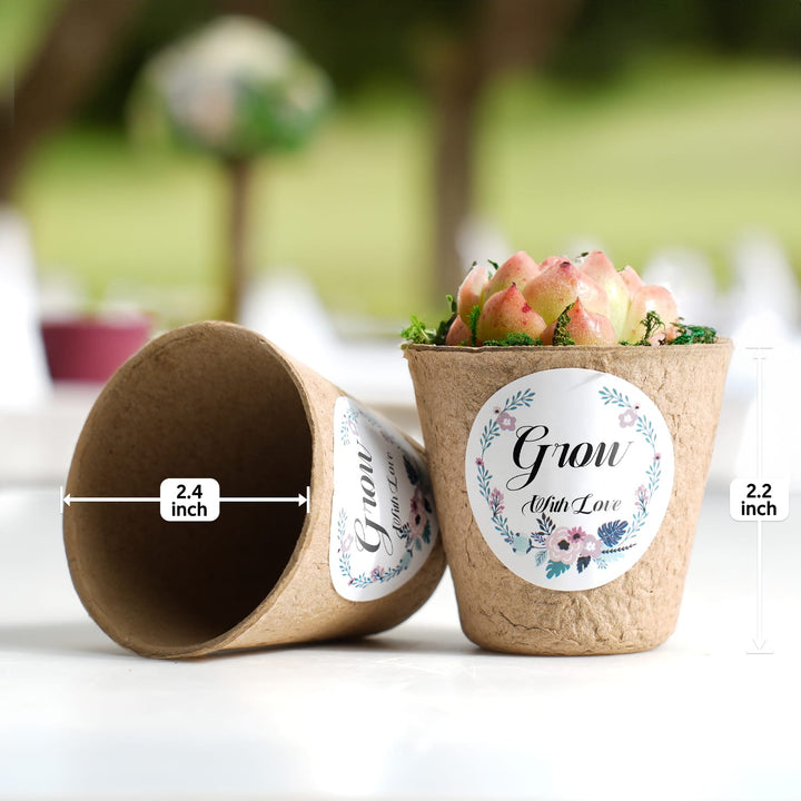 Specifications-for-the-Classic-Delicate-Paper-Cup-Succulent-Favors.