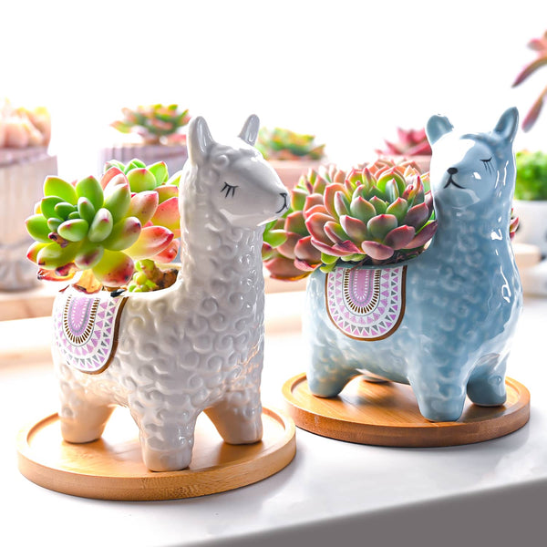 Loving Sheep Succulent Planters