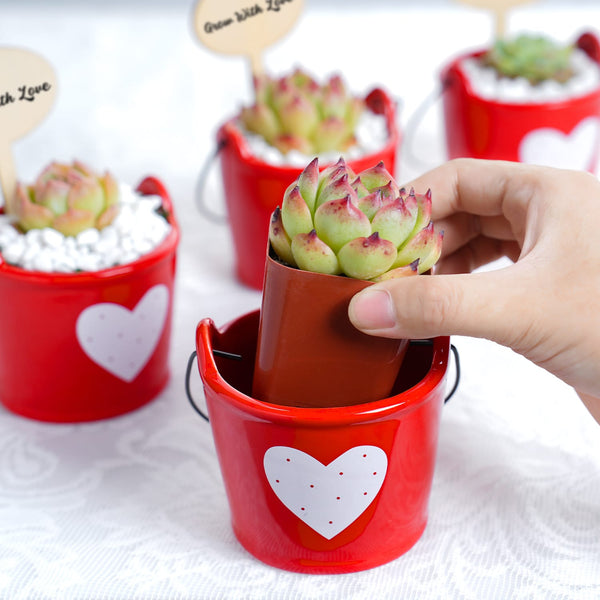 Succulent Wedding Favors, Red Ceramic Buckets