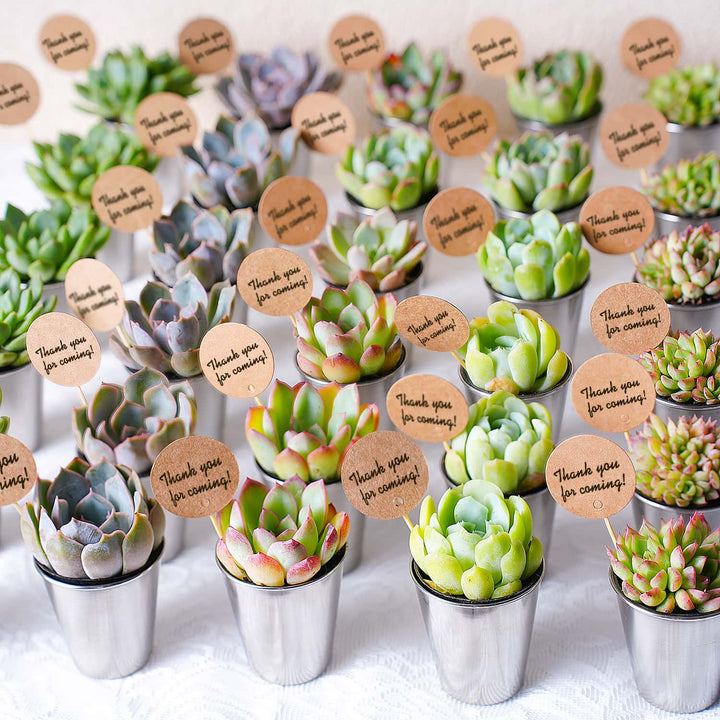 Succulent-Favors-Metal-Shot-Glass