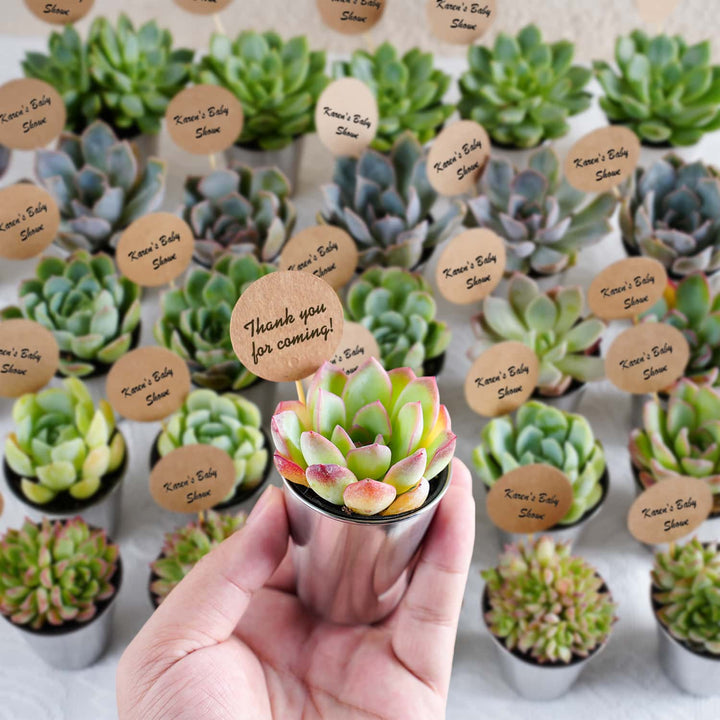 Succulent-Favors-Metal-Shot-Glass