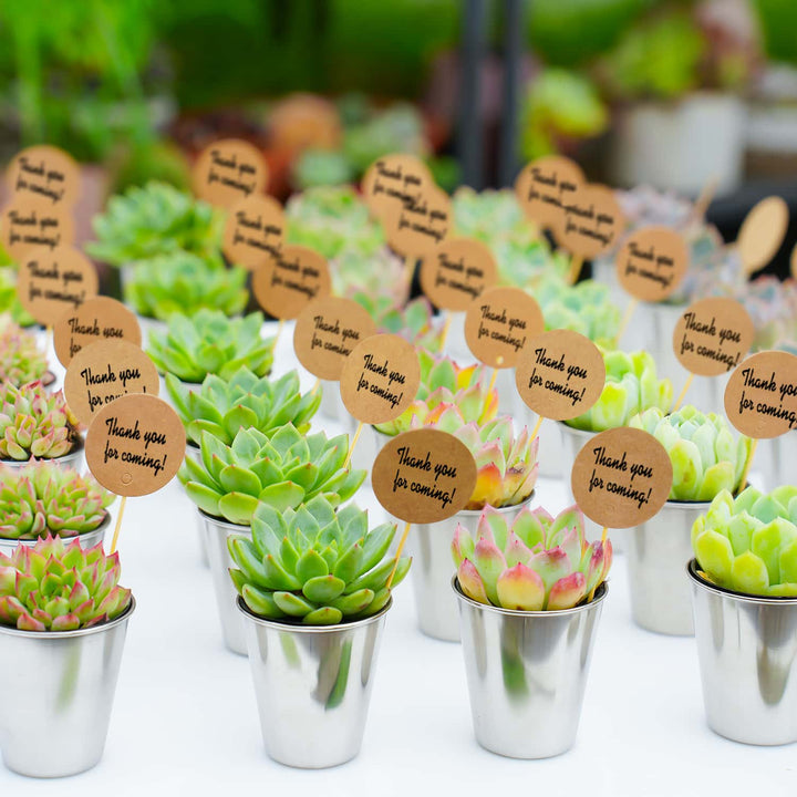 Succulent-Favors-Metal-Shot-Glass