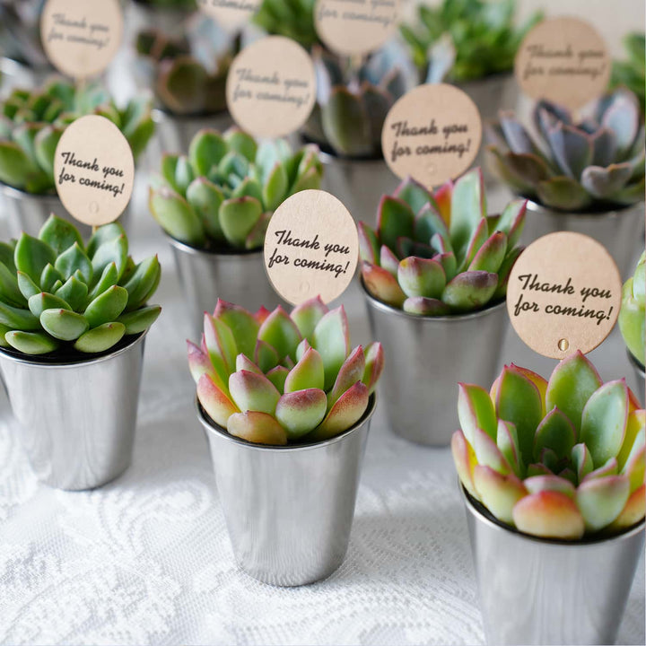 Succulent-Favors-Metal-Shot-Glass