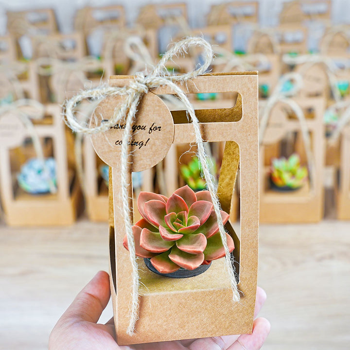 Succulent-Wedding-Favors-Kraft-Box