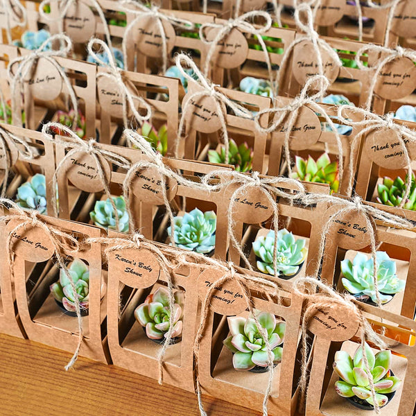 Succulent-Wedding-Favors-Kraft-Box