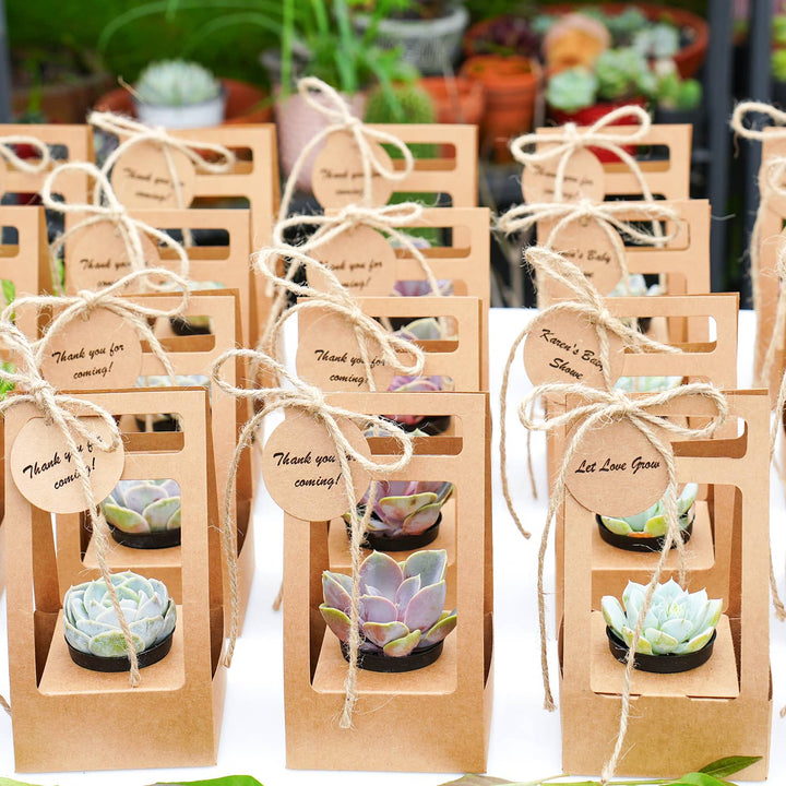 Succulent-Wedding-Favors-Kraft-Box