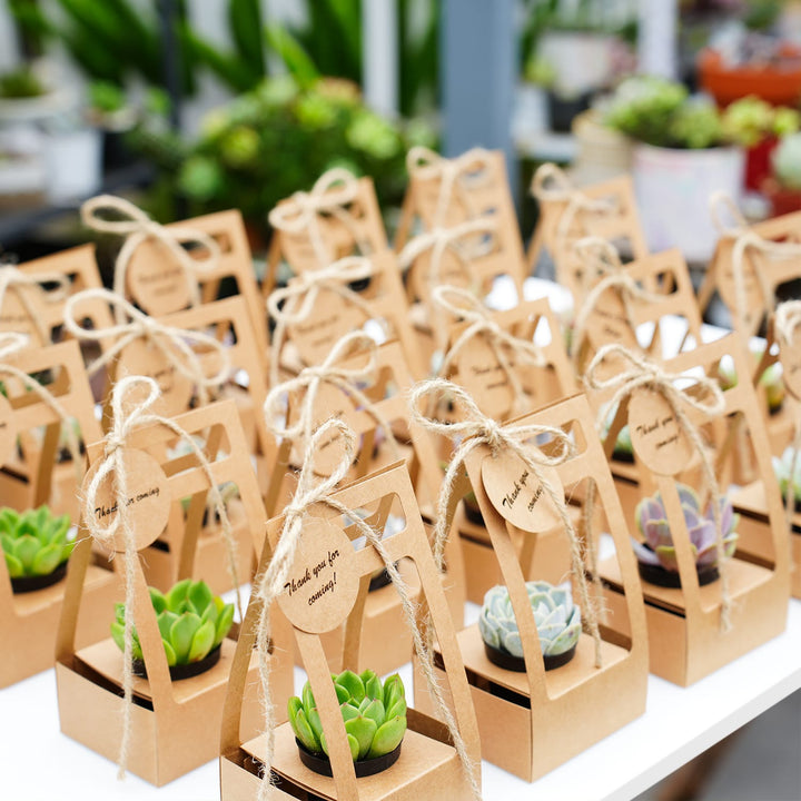 Succulent-Wedding-Favors-Kraft-Box