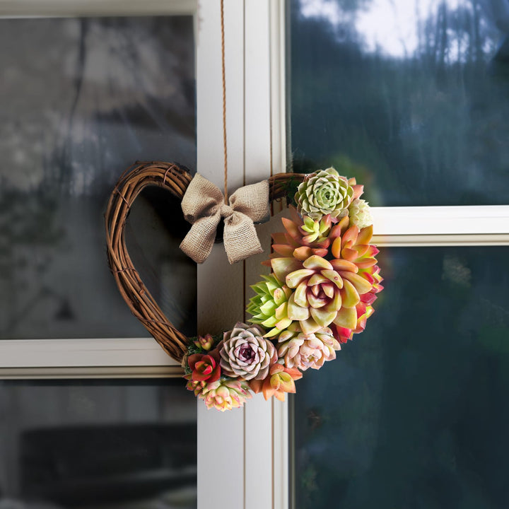 Succulent Wreath DIY Kit, 6"