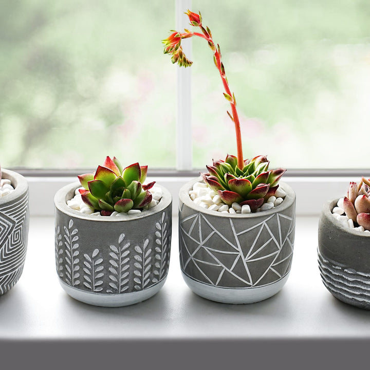 Minimalist Cylinder Embossed Concrete Succulent Pots