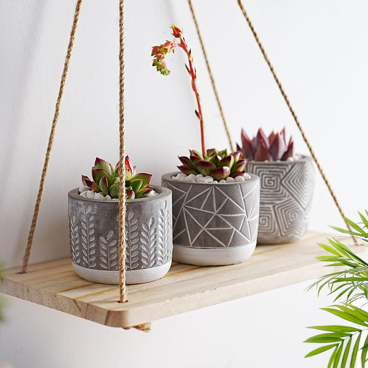 Mini Cylinder Embossed Concrete Plant Pots