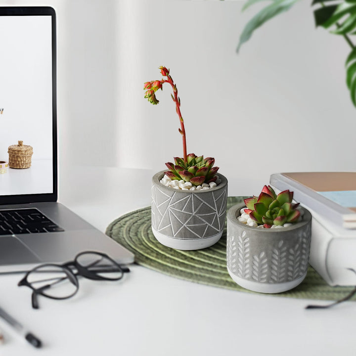 Mini Cylinder Embossed Concrete Plant Pots