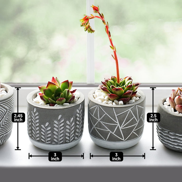 Mini Cylinder Embossed Concrete Plant Pots