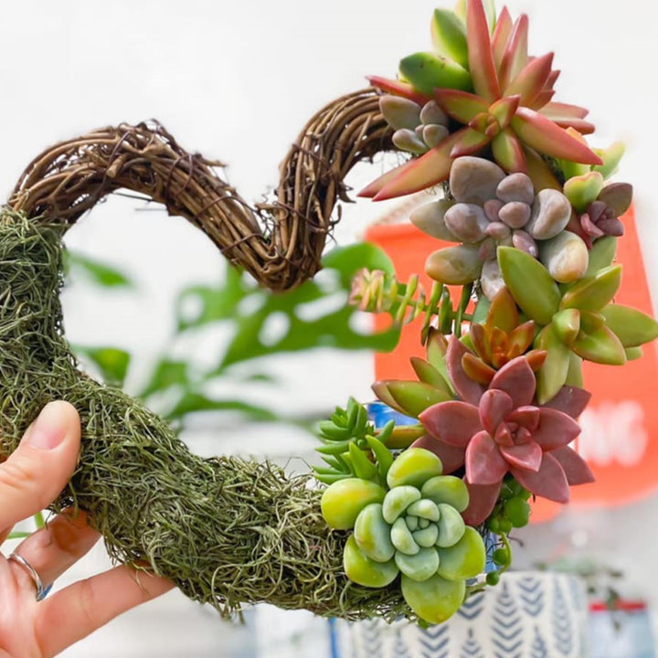 succulent wreath heart shape