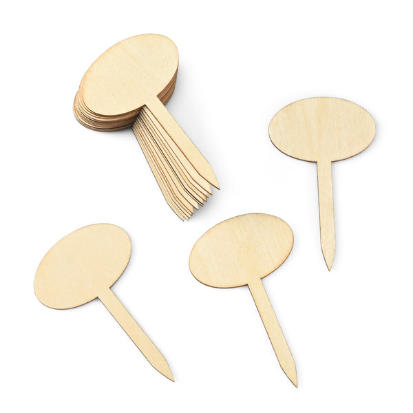 Succulent Favor Tags Wood Oval Stake