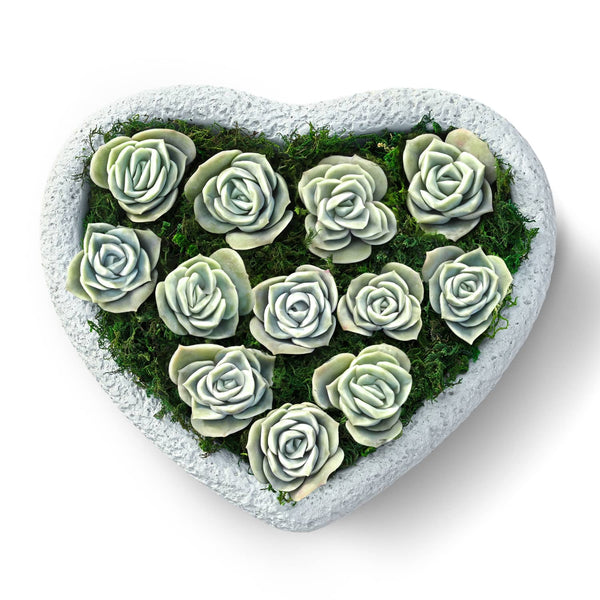 Heart Shaped Succulent Arrangement Table Decor